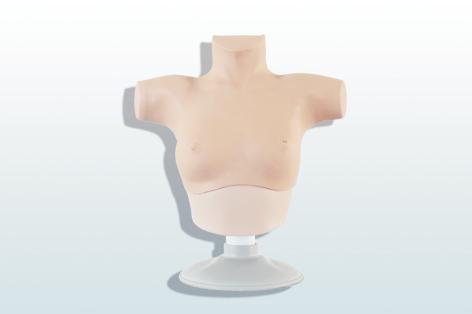 乳腺癌觸診、視診訓練模型